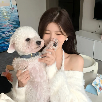 六叠间的钢琴家